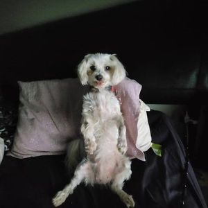 Meet your Posher, April